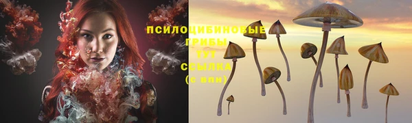 дживик Аркадак