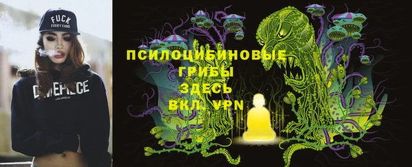 герыч Алексин