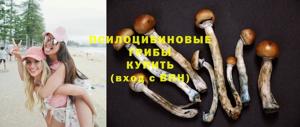 соль ск Алексеевка